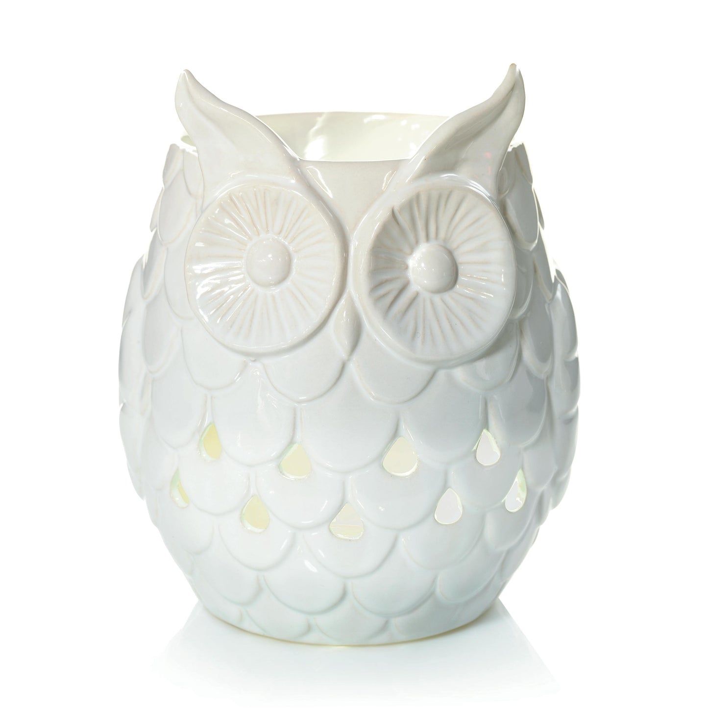 Owl (S4LRM)