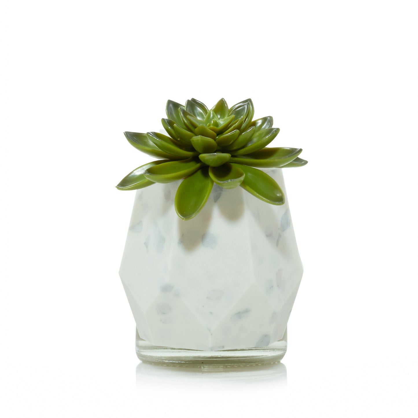 Faceted Succulent ScentPlug® Diffuser with Light (S4H6E)