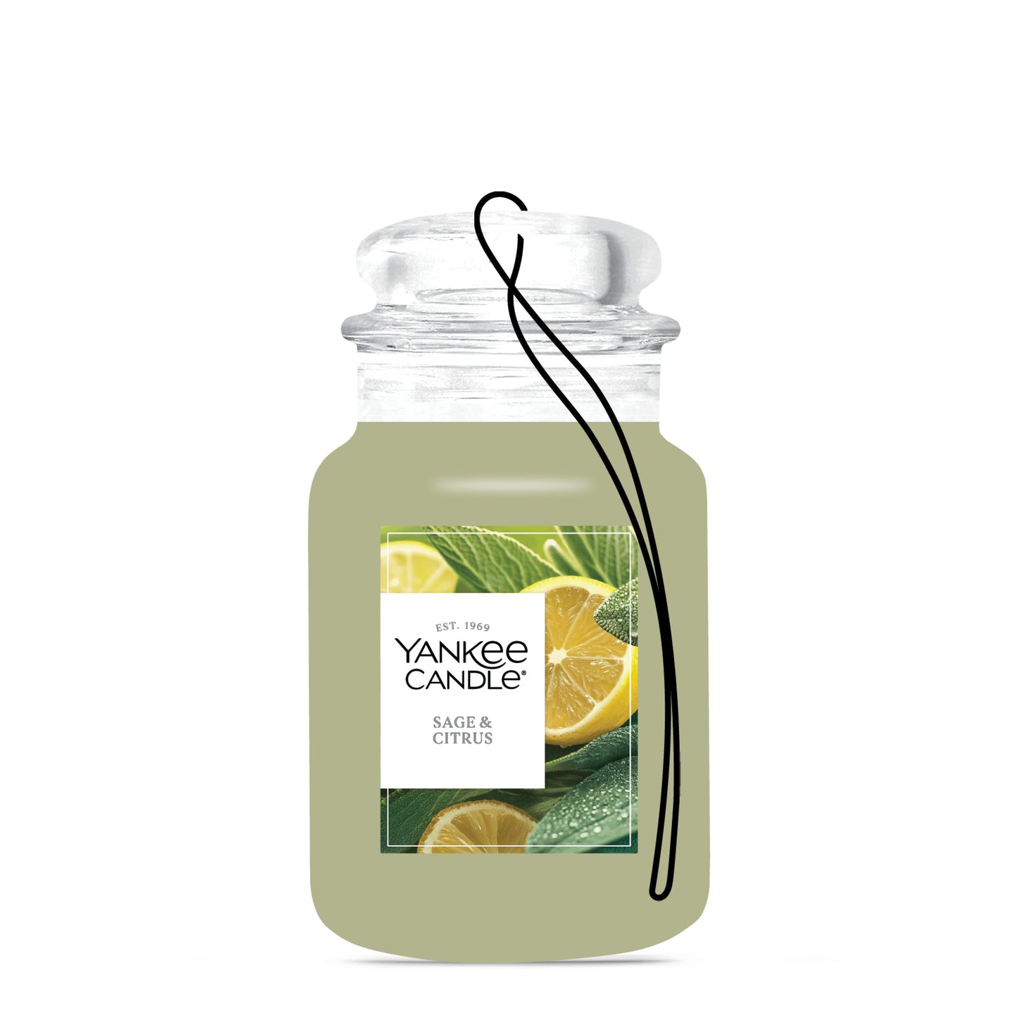 Sage & Citrus Studio 1-0335