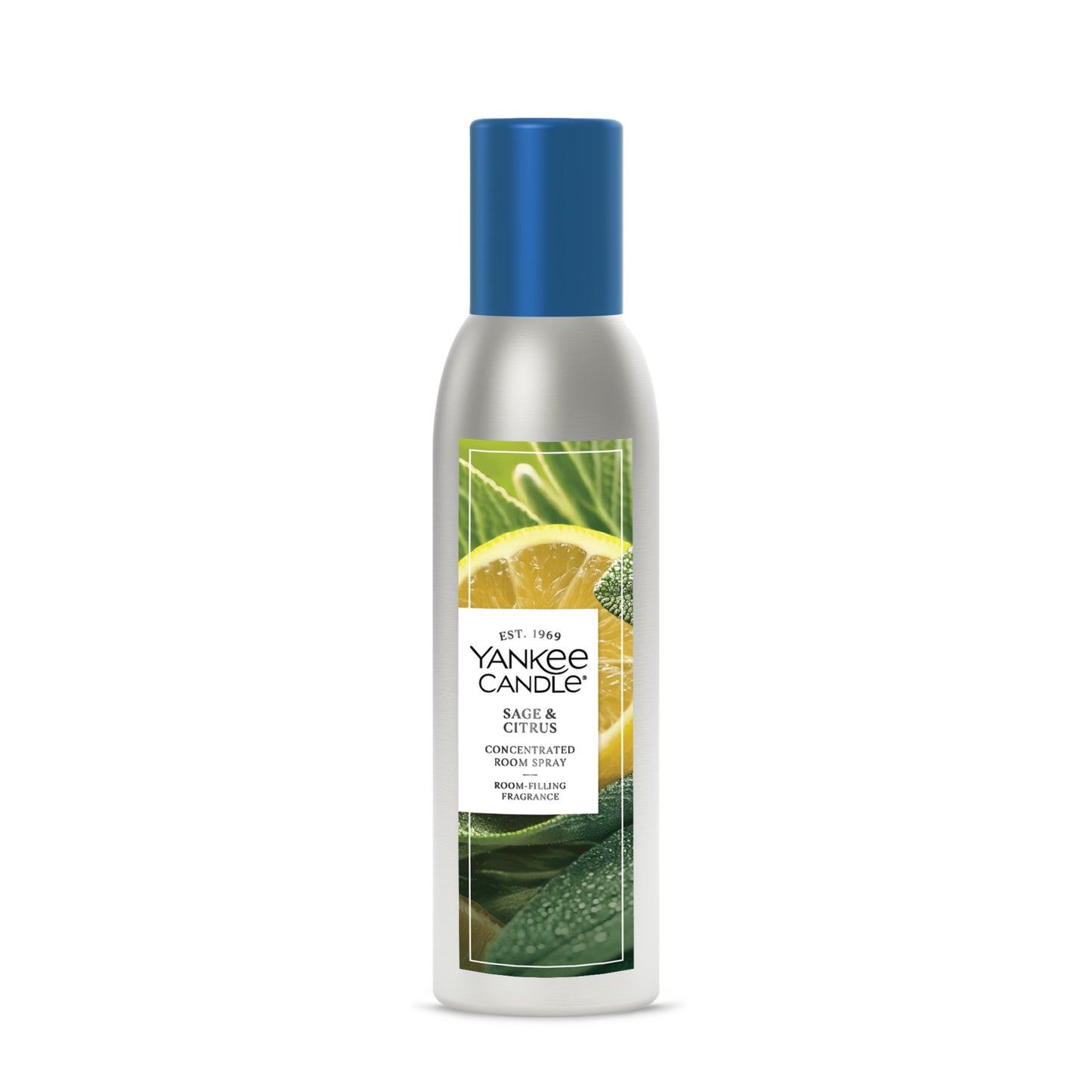 Sage & Citrus Studio 1-0875
