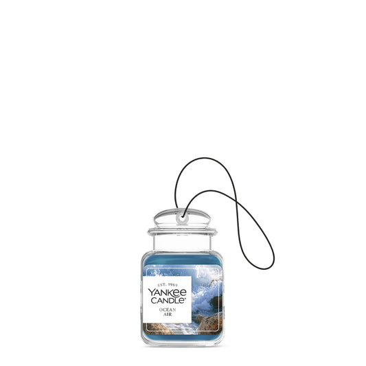 Ocean Air (S4AG9)