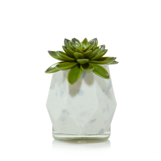 Faceted Succulent ScentPlug® Diffuser with Light (S4H6E)